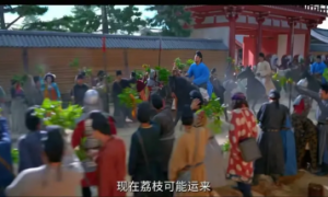 荔枝保鲜难，离开枝头风味就打折，冷链运输还离不开这个黑科技