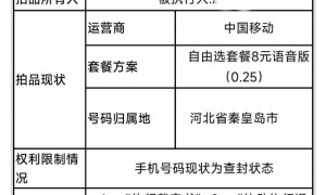 1333333开头手机靓号4千起拍